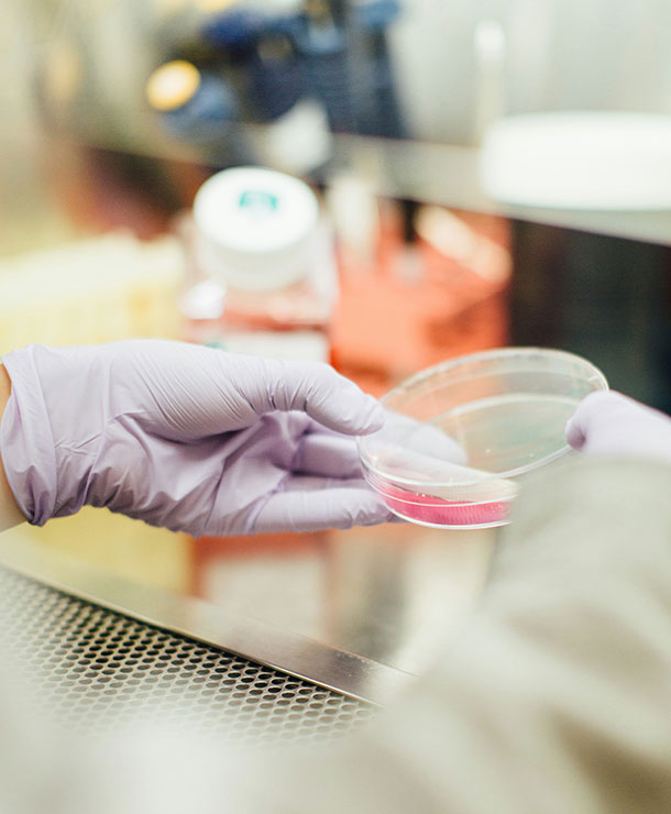 Cleaning & Detergents | What We Do | ICL - ICL