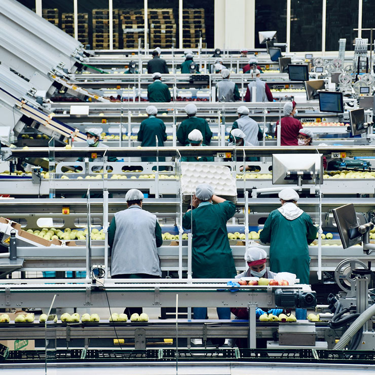 Food & Drink | ICL - ICL