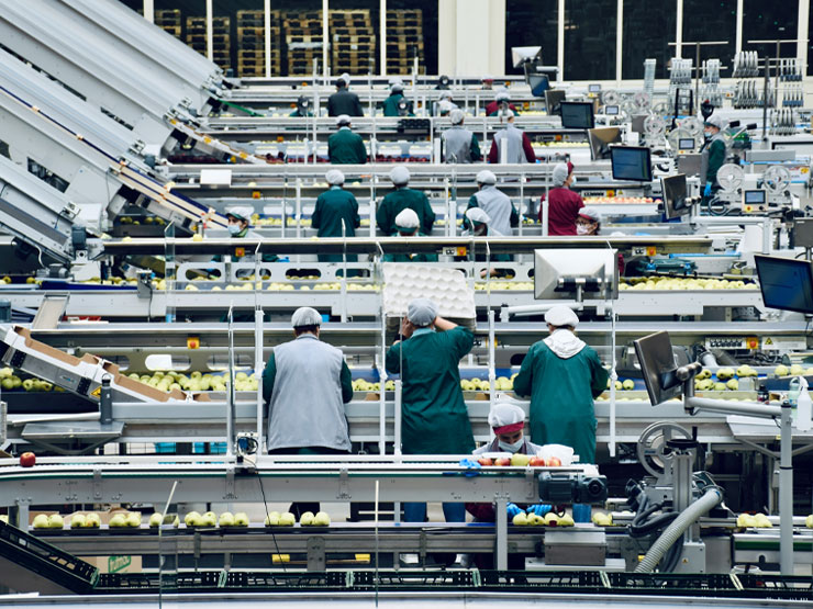 What We Do | Food & Drink | ICL