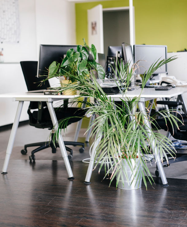 Green Workspaces | Responsibility | About Us | ICL - ICL