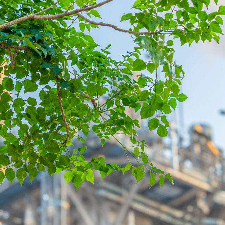 Responsibility | ICL | Chemical innovation, Customer satisfaction - ICL